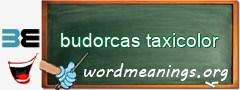 WordMeaning blackboard for budorcas taxicolor